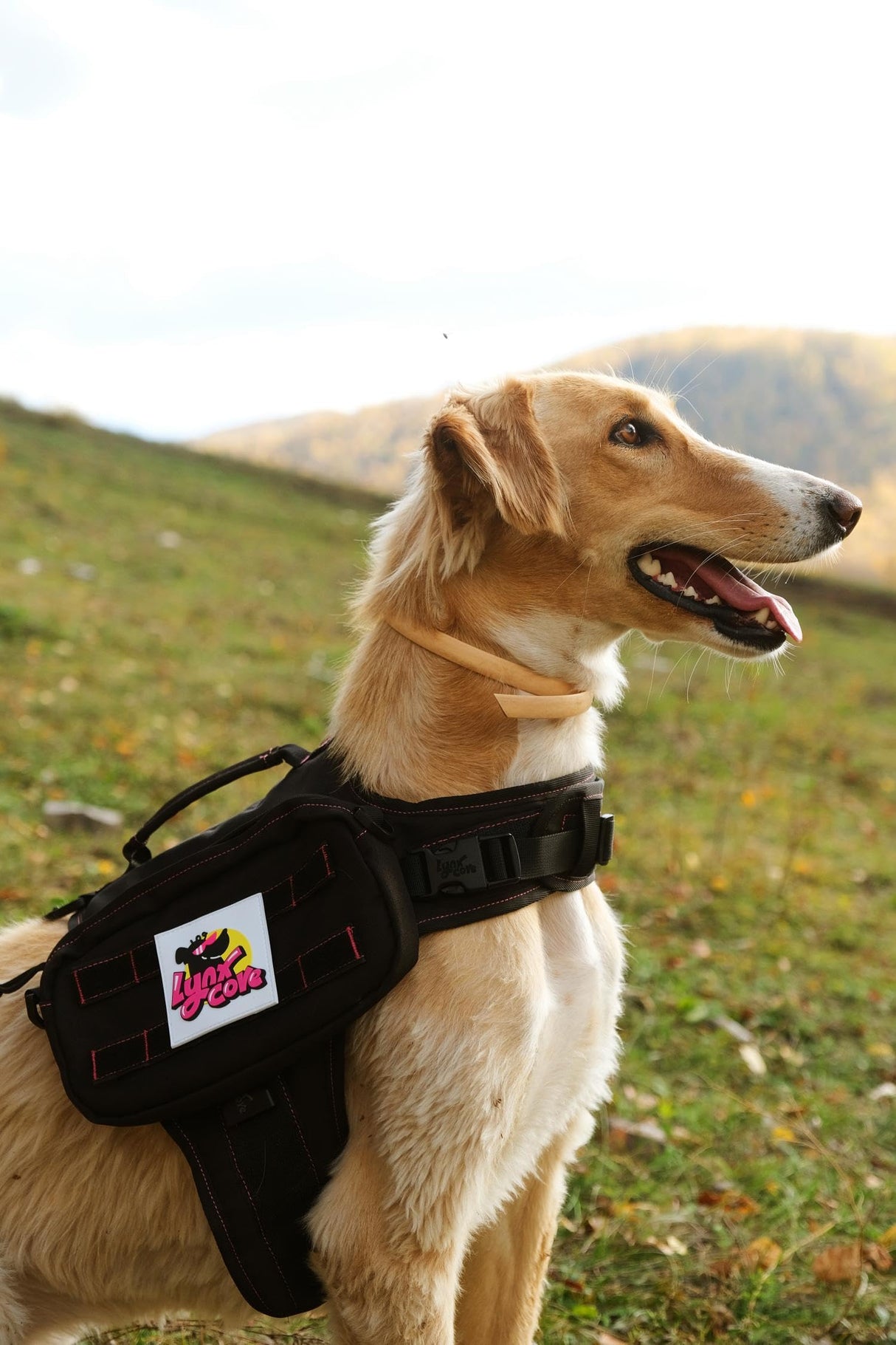 Lynxcore Dog Backpack for Small Medium Large Dogs,Adjustable Dog Backpack Harness with 2 Side Pockets,Vest Dog Pack for Travel,Hiking, Camping