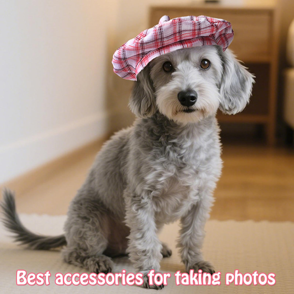 SEIS 3 Pcs Dog Berets Fashion Pet Hat French Artist Cat Cap Baseball Cap for Party Birthday Wedding Photo (L, Stripe)