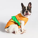 Fitwarm Halloween Dog Hamburger Costume, Funny Clothes for Small Dogs Boy Girl, Pet Fast Food Outfit, Orange, Small