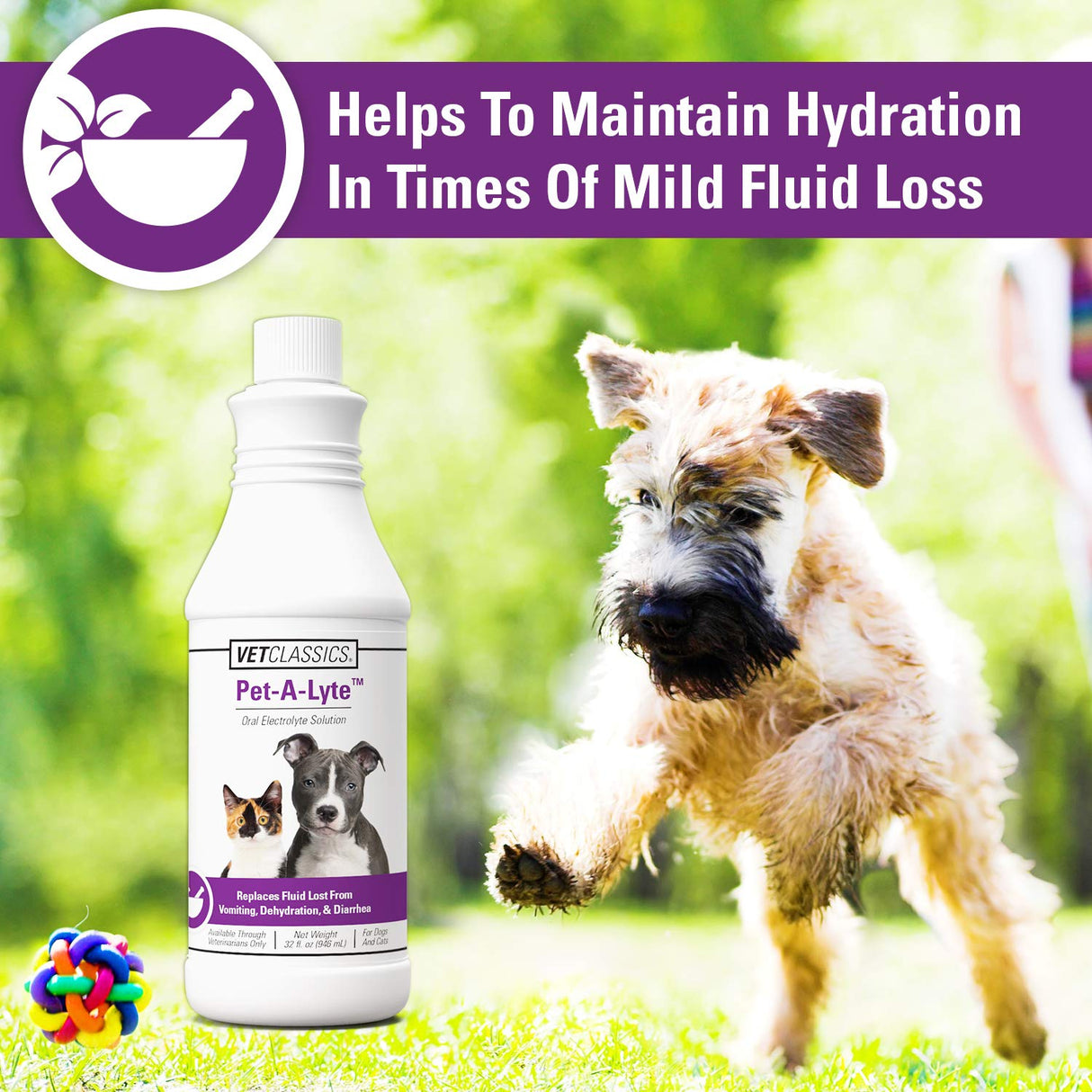 Vet Classics Pet-A-Lyte Oral Electrolyte Solution for Dogs and Cats – Helps Replace Fluids Lost from Pet Dehydration, Diarrhea, Vomiting – Replaces Dog Electrolytes – 32 Oz.