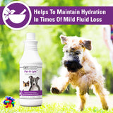 Vet Classics Pet-A-Lyte Oral Electrolyte Solution for Dogs and Cats – Helps Replace Fluids Lost from Pet Dehydration, Diarrhea, Vomiting – Replaces Dog Electrolytes – 32 Oz.