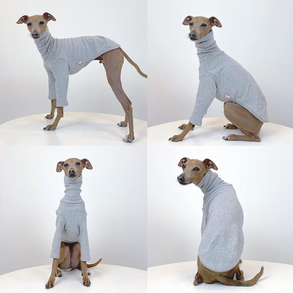 D Doggy Star Italian Greyhound Clothes Flexible T Shirts Whippet for Dogs (L,Solid Grey)
