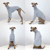 D Doggy Star Italian Greyhound Clothes Flexible T Shirts Whippet for Dogs (L,Solid Grey)