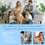 PATWING Dog Plaque Remover for Teeth,Pet Tooth Cleaner with LED Light,Cleaning Kit for Tartar and Stains,5 Adjustable Modes,Pet Teeth Cleaning kit,Suitable for Dogs and Cats (White)