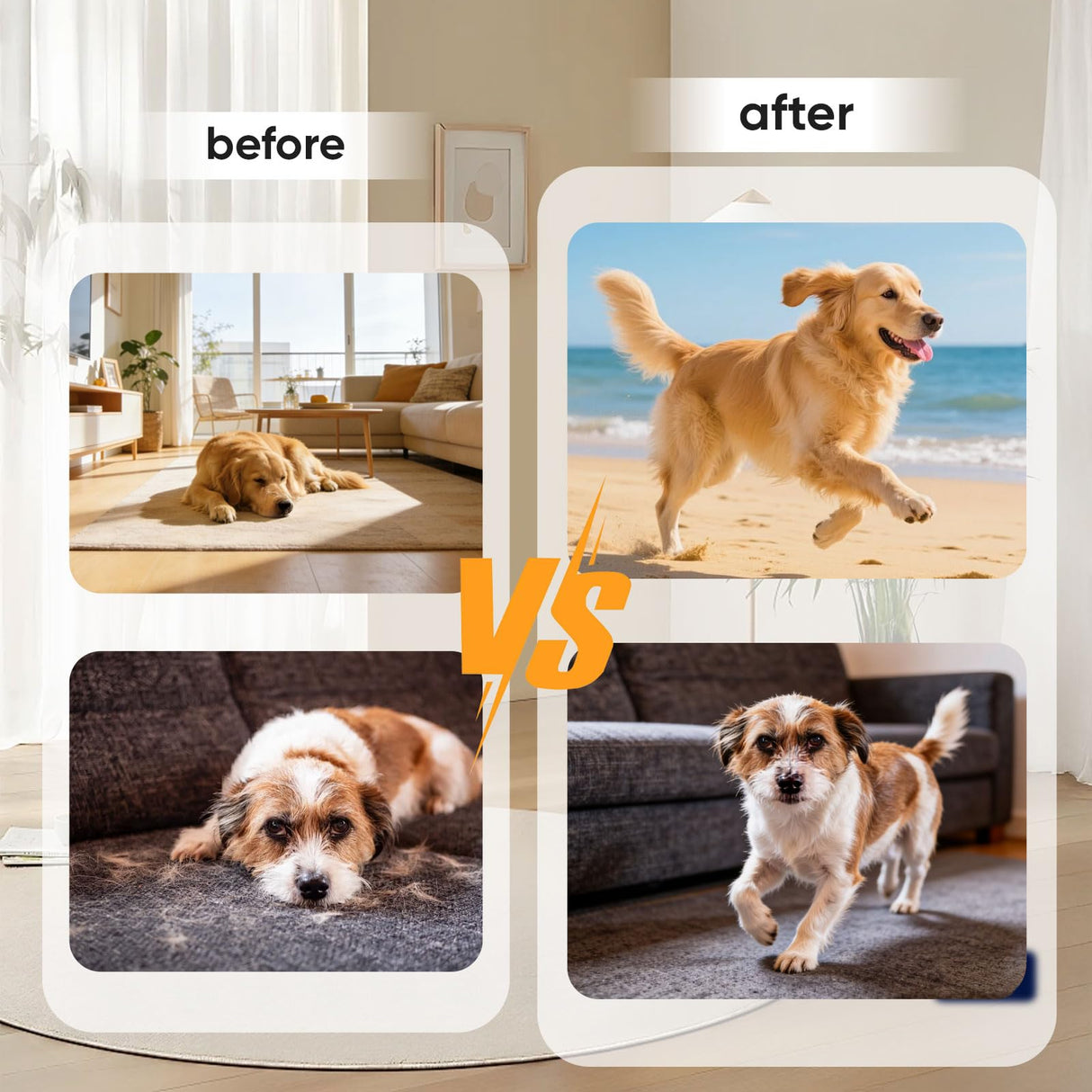 Puppy Lab Co Turkey Tail Mushroom for Dogs - Puppylabco Turkey Tail for Gut & Immune Supports, 100 Scoops | Bacon Flavor | Probiotics 100g (1)