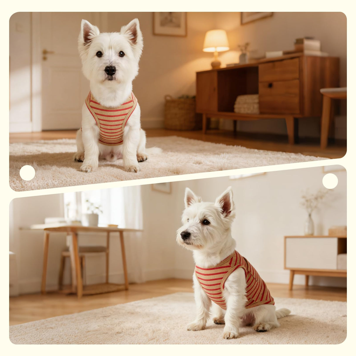 COOHAMS Dog Clothes, Stripe Dogs Shirts for Small & Medium Breeds, Pet Tank Top, Breathable Waffle Fabric Puppy Outfit, Shirt for Chihuahua, Yorkie, Dachshund, Corgi (4Pack, Medium)