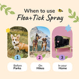kin+kind Plant Based Flea and Tick Spray for Dogs and Cats – Essential Oil Formula with Lemongrass – Flea and Tick Prevention for Cats, Kittens, Puppies & Dogs - Pet Supplies - Family Safe – 12 fl oz