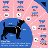 3 Pack Birthday Dog Shirts for Small Dogs,Print T-Shirt,Lightweight Sleeveless Vest,Soft Breathable & Lightweight for Daily Wear,Festival Party Funny Outfits (Pink & Blue,S)