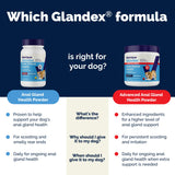 Vetnique Glandex Dog Fiber Supplement Powder for Anal Glands with Pumpkin, Digestive Enzymes & Probiotics - Vet Recommended (Regular or Advanced Strength) - Boot The Scoot (4.0oz Powder, Beef Liver)