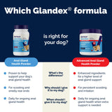 Vetnique Glandex Dog Fiber Supplement Powder Anal Gland Health with Pumpkin, Digestive Enzymes & Probiotics, Vet Recommended (Regular or Advanced Strength) - Boot The Scoot (2.5oz Powder, Beef Liver)