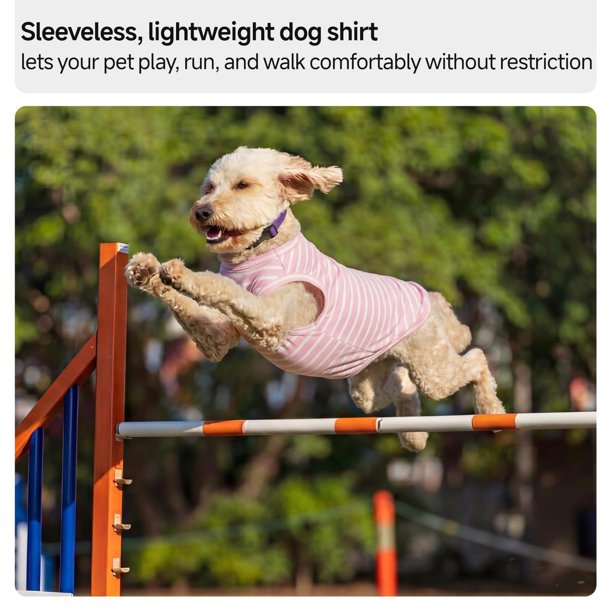 QBLEEV 2 Pack Dog Shirt, Soft Cotton Dog T Shirt for Small Medium Large Dogs, Sleeveless Stretchy Tee Vest for Summer, Breathable Lightweight Pet Tank Top Tshirts for Indoor Play, Outdoor Walks