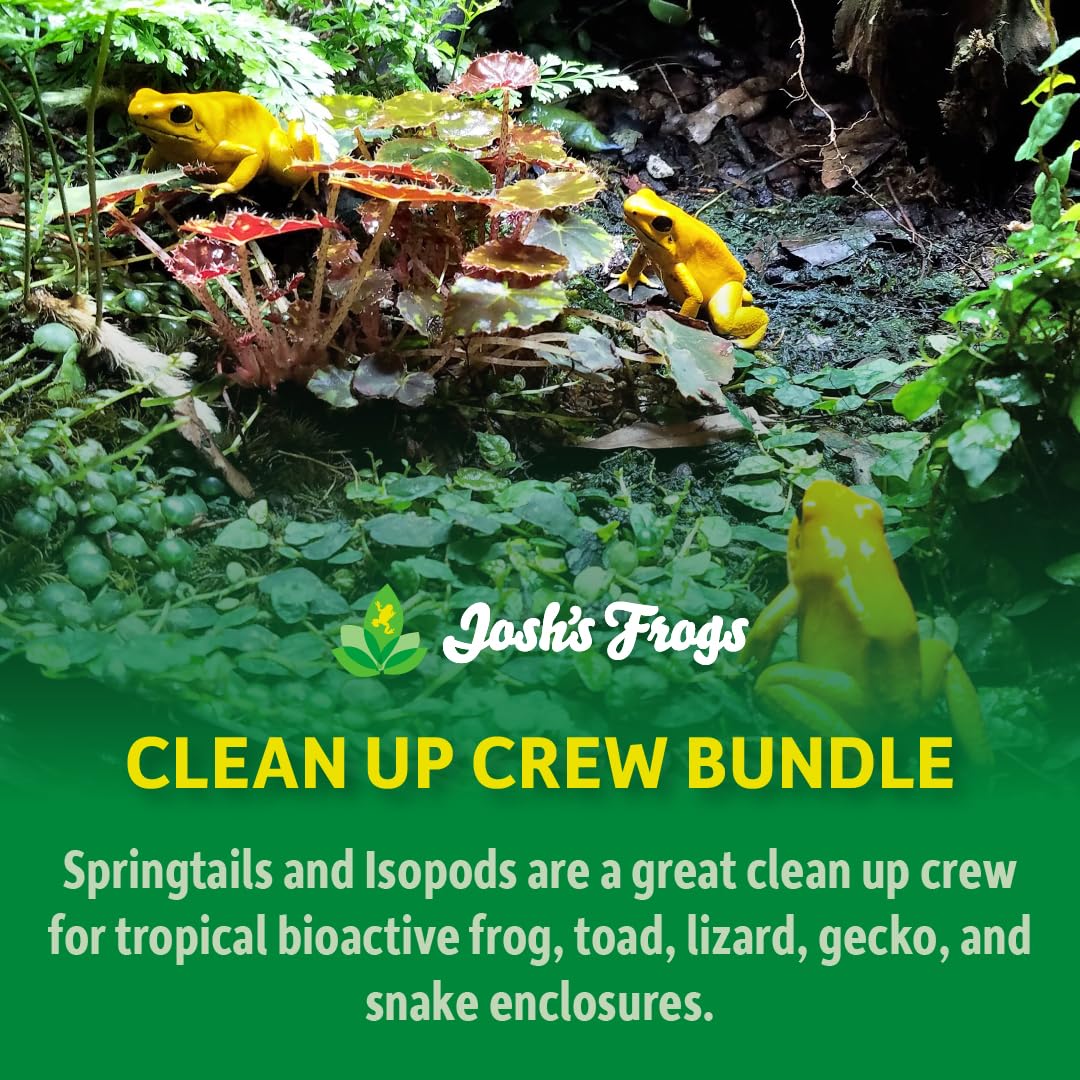 Josh's Frogs Dwarf Tropical White Isopods (25 ct) and Temperate Springtails (8oz) Bioactive Clean Up Crew Bugs Bundle