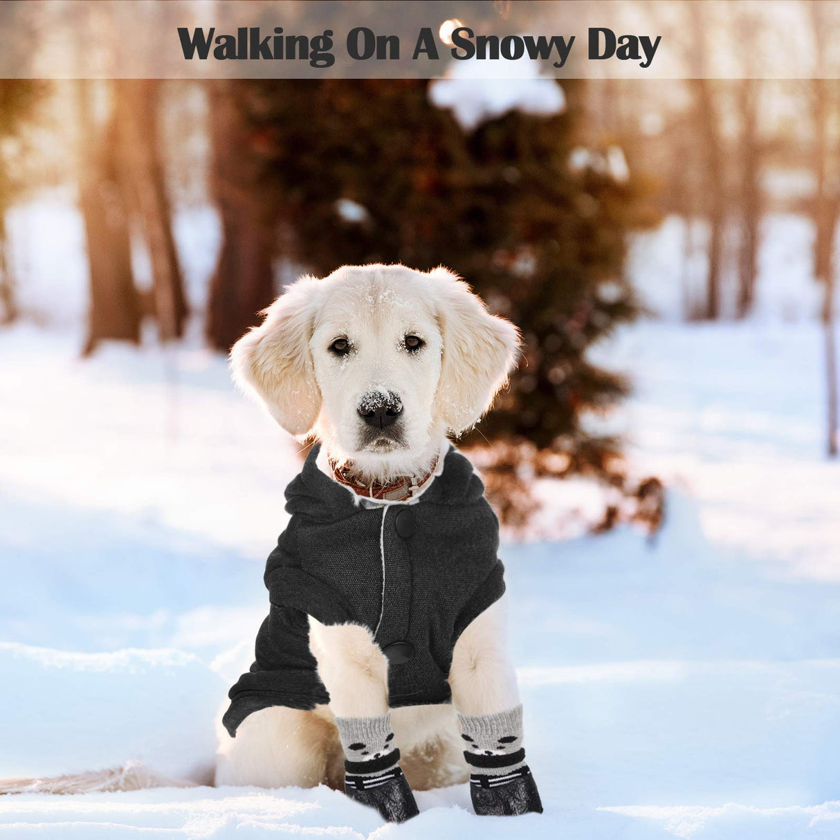 Winter Dog Coat Warm and Cat Boots Shoes Socks Waterproof Puppy Jacket Small Dog Booties Paw Protectors Stylish Hooded Coat for Puppy(Black,L)