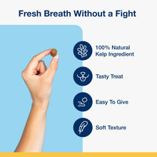 Load image into Gallery viewer, ProDen PlaqueOff Soft Chews with Natural Kelp - for Small &amp; Medium Breed Dogs &amp; Cats - Supports Normal, Healthy Teeth, Gums, and Breath Odor in Dogs &amp; Cats - 90 Soft Chews
