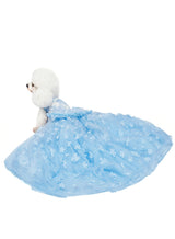 Dog Lace Gold Glitter Dress Princess Tutu Skirt for Small and Medium Girl Dogs Pet Birthday Wedding Bride Party Photography Christmas Halloween (Blue,X-Large)