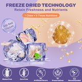 NATURE TARGET Probiotics for Dogs, 6 Billion CFUs, Freeze Dried Dog Probiotics with Prebiotics & Enzymes for Diarrhea, Gas, Vitamins & Omega 3 for Skin & Immune Health, Allergy Itch Relief, 180 Count