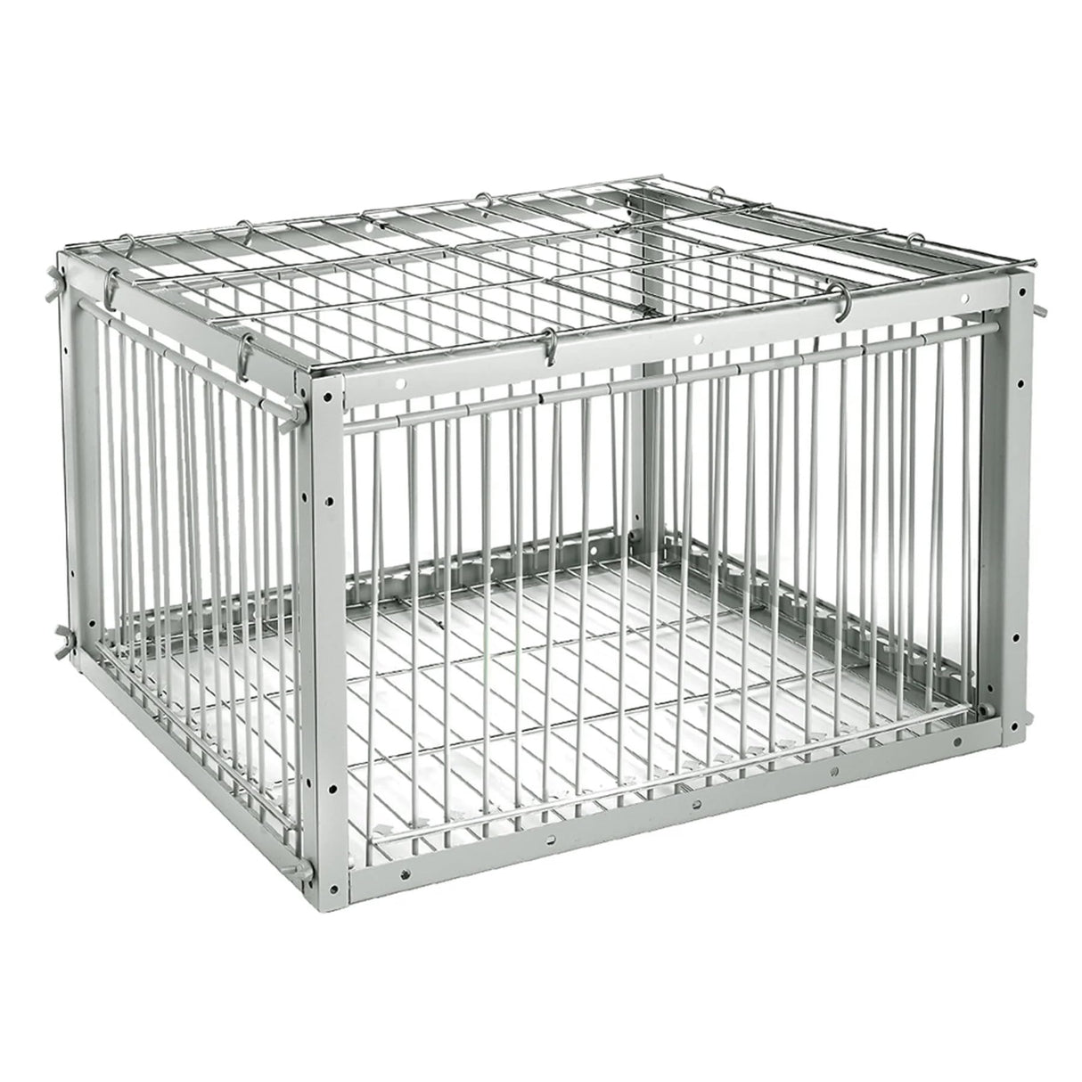 Pigeon Trap with Escape-Proof Design
