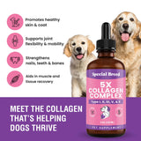 Premium Collagen for Dogs - Liquid Support for Joints, Skin, Coat, Bone, Immune System & HIPS - Collagen Supplement - Made in USA - 4oz