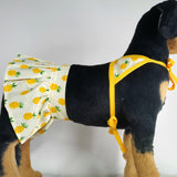 Dog Bikini Swimsuit Summer Puppy Bathing Dress Beach Clothes Cat Costume for Puppy Dog Cat Pineapple S