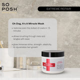 Oh Dog, It's a Miracle Coat Repair Mask - with Protein Complex & Vitamin B5, Suitable for All Breeds, Deeply Nourishing, Repairing & Strengthening, Silicone & Paraben Free. 16.9 Oz