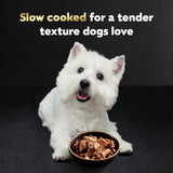 Cesar Wet Dog Food Steak Lovers Variety Pack, Adult, Wet Food for Dogs with Real Meat, 3.5 oz Easy Peel Trays, 36 Count