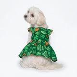 Fitwarm St Patricks Day Ruffle Dog Dress, Lucky Dog Clothes for Small Dogs Girl, Funny Pet Outfit, Green, Orange, Small