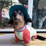 Dachshund Dog Cooling Summer Shirt, UPF50+ Four-Legged Sun Protection Clothes, Quick-Dry Summer Shirt for Dachshund and mini Dachshund (Small)