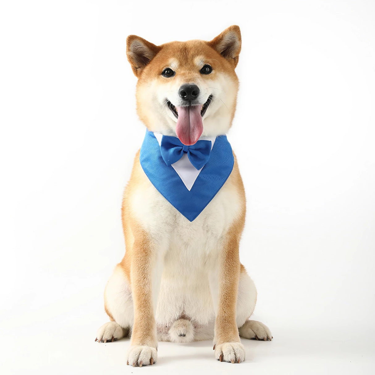 Dog Tuxedo Suit and Bandana Set Boy Dog Prince Bow Tie Shirt Formal Dogs Wedding Attire for Large Medium Dogs (Navy Blue,Small)