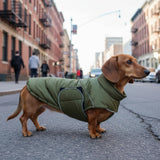 ASENKU Extra Warm Dog Coat - Winter Fleece Jacket with Reflective Adjustable Zippered Leash Hole for Medium Dogs (Green, L)
