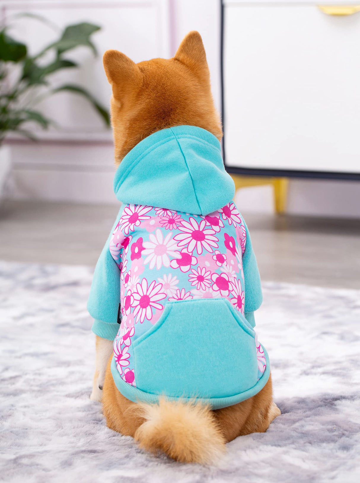 Blue Puppy Dog Hoodies for Small Medium Dogs, Christmas Hooded Sweatshirt with Pocket Pet Cat Hoody Clothes Sweaters Fleece Coat Dog Costume Winter