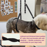 Dog Grooming Belly Strap - 3PCS Grooming Restraint Set Adjustable Belly Band Loops Strap with Padded Support & Loop Extension Straps Pet Grooming Harness Kit for Dogs (Sky Blue)