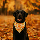 THLOH Fall Dog Bandanas with Snap Button, 2 Pack Pumpkin & Leaf Pet Scarf for Boy & Girl, Premium Durable Fabric, Adjustable Fit, Autumn Thanksgiving Bandana for Large and Extra Large Dogs (X-Large)
