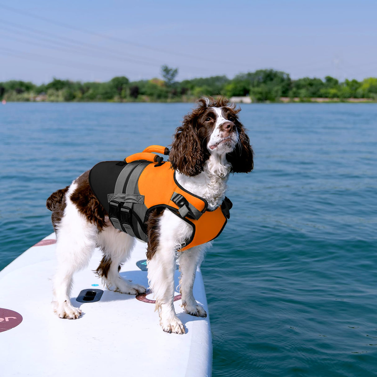 Kuoser Dog Life Jacket with Rescue Handle, High Flotation Dogs Swim Vest with Reflective Strips,Adjustable Dog Life Vest for Swimming, Boating, Pool&Beach, Doggy Lifejacket for Small Medium Large Dogs