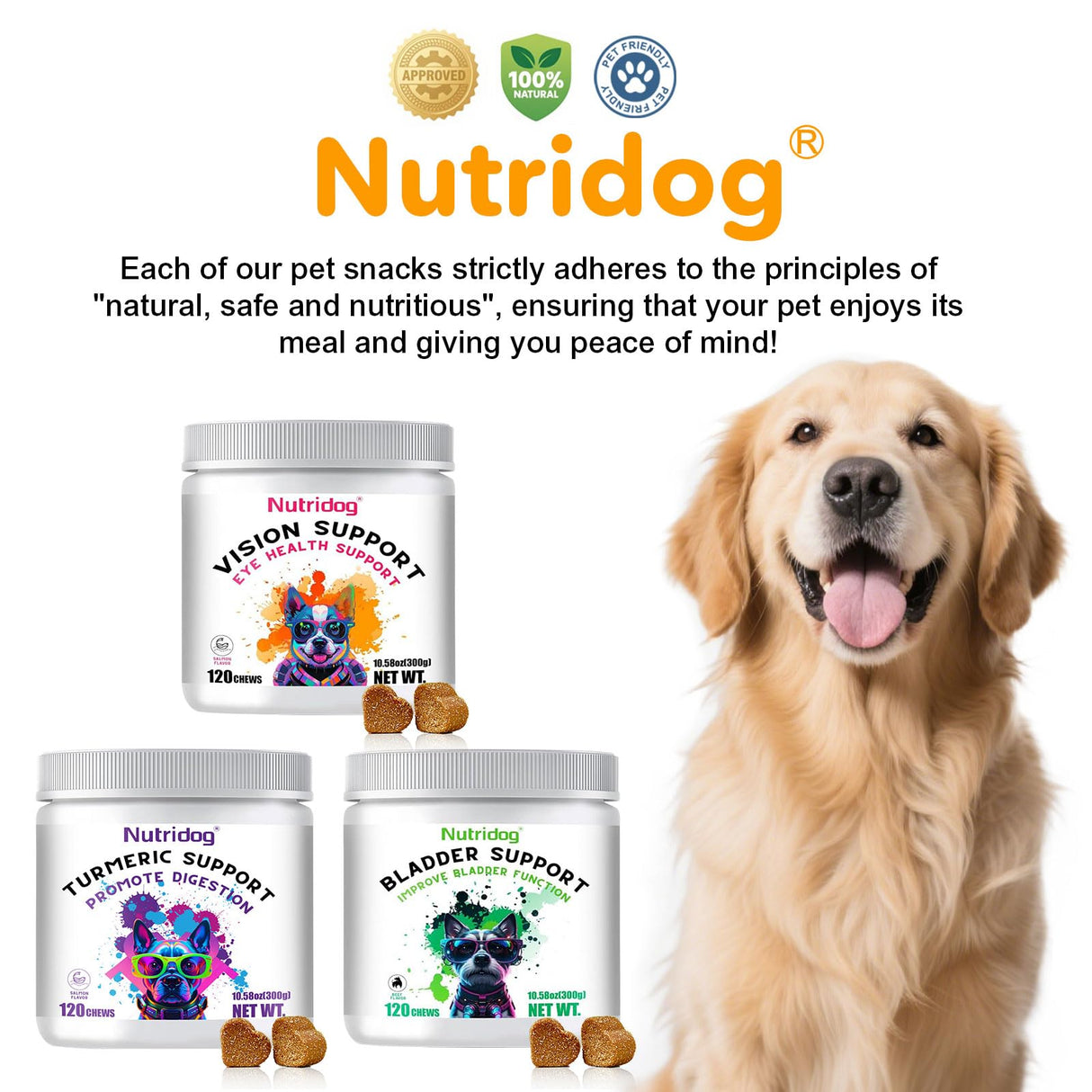 Nutridog Eye Supplements for Dogs - Vision Support Soft Chews with Lutein, DHA & Vitamin C | 120ct Salmon Flavor Tear Stain Chews | Cataract & Dry Eye Relief Supplement (120 Ct, Salmon)