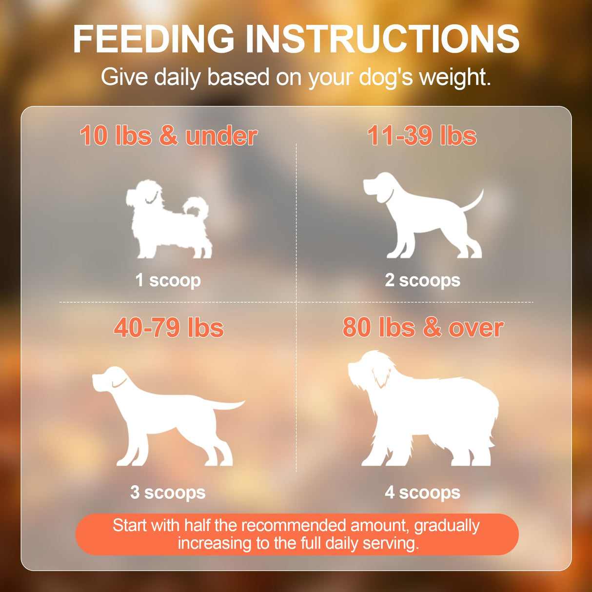 GAIAKINGCO Hip and Joint Supplement Powder for Dogs Glucosamine for Dogs, Dog Arthritis Vitamins for Hip and Joint Pain Relief Contains Glucosamine Chondroitin MSM Vitamin E for All Breeds and Sizes