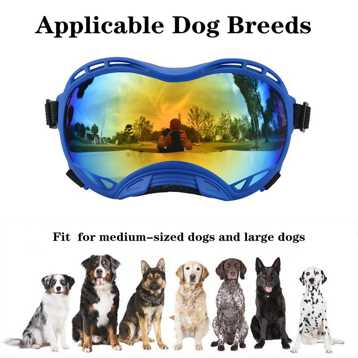 Soft Dog Goggles Anti-UV Sunglasses for Large Breed Dogs, Dustproof Windproof Snowproof, Bule Frame & Colored Lens