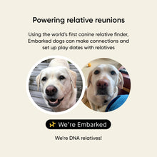 Load image into Gallery viewer, Embark Breed &amp; Health Kit - Dog DNA Testing Kit - Discover Breed, Ancestry, Relative Finder, Genetic Health, Traits, Allergy Risk Scores
