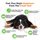 Doggie Dailies Probiotics for Dogs - Advanced Dog Probiotics with Prebiotics - Promotes Digestive Health - Supports Immune System and Overall Health (Pumpkin) 225 Soft Chews