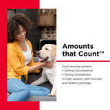 Nutri-Vet Hip & Joint Regular Strength Chewable Dog Supplements, Formulated with Glucosamine Chondroitin, Pet Supplies, Joint Supplement for Dogs, Pet Care, Puppy Essentials, 120 Count