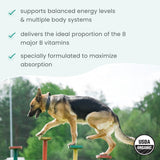 Bark & Whiskers Organic Vitamin B Complex - B Vitamins for Energy & Nervous System Support - for Cats & Dogs - USDA Certified - 0.85 oz