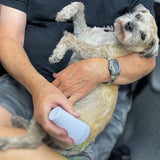 LumaSoothe Light Therapy for Dogs and Pets - LED Light Therapy for Pain Relief, Muscle & Joint Pain, Reduce Inflammation, Heal Wounds, & Clear Skin Problems with 2 Therapy Modes