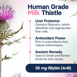 SilymarinAdvanced Liver Health Supplement for Large Dogs - Milk Thistle for Dogs Liver Support with S-Adenosylmethionine (Same) & Silybin - 30 Tablets