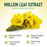 Mullein Lung Support Drops for Dogs & Cats, Relieves Kennel & Dry & Wet Cough, Lung Cleanse, Soothes Sore Throat, Eases Breathing - Pure Plant Extract, Hormone & Chemical Free, with Chlorophyll