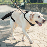 OHCOZZY Dog Tail Protector for Wounds, Adjustable Dog Tail Protector Sleeve for Medium and Large Dogs, Anti Licking(L,Black)