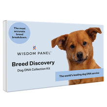 Load image into Gallery viewer, Wisdom Panel Breed Discovery Dog DNA Kit: Most Accurate Dog Breed Identification, Test for 365+ Breeds, MDR1 Health Test, Ancestry, Relatives
