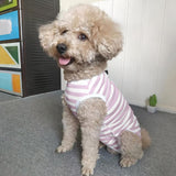 Paipeper Dog's Recovery Suit Post Surgery Shirt for Puppy, Small Dog Surgical Recovery Suit for Female Male Dogs, Dog Onesie Protect Surgical Wound(Purple White Stripe-m)