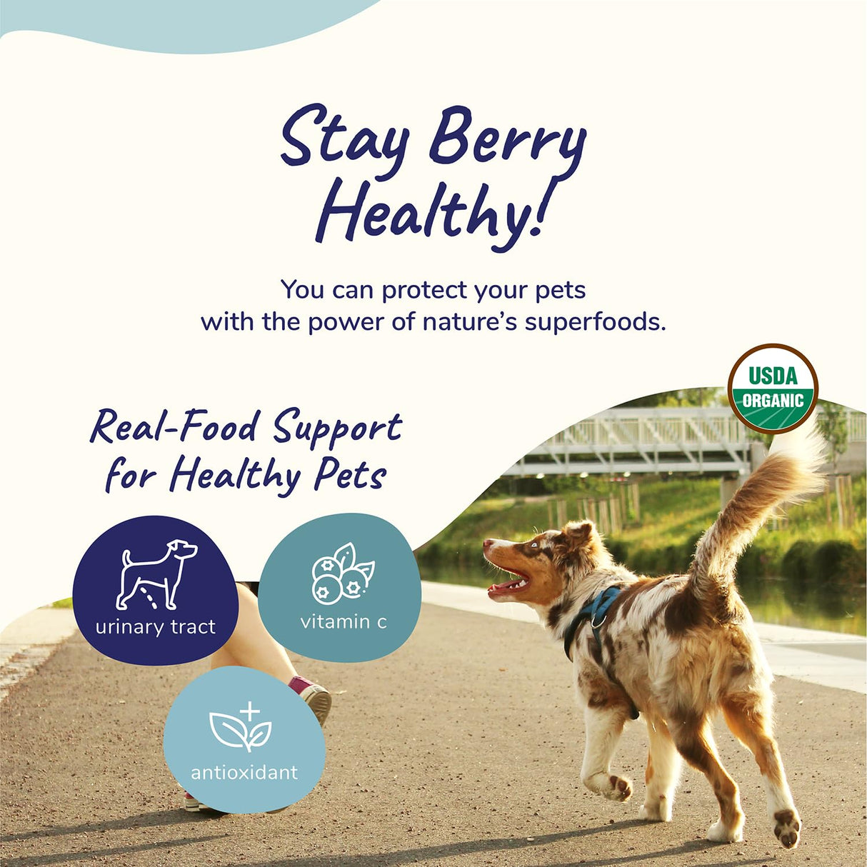 kin+kind Pet Vitamins and Supplements - Immune Support Supplement for Dogs & Cats - Natural Dog Supplements & Cat Supplements w/Organic Ingredients for Healthy Immunity - Made in USA - 8 oz (Large)