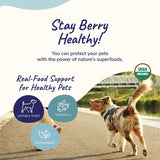kin+kind Pet Vitamins and Supplements - Immune Support Supplement for Dogs & Cats - Natural Dog Supplements & Cat Supplements w/Organic Ingredients for Healthy Immunity - Made in USA - 8 oz (Large)