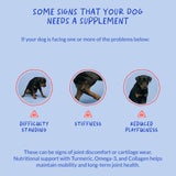 Turmeric Curcumin for Dogs - 90 Soft Chews - with Collagen, BioPerine and Fish Oil - Hip & Joint Support, Ease Inflammation, Antioxidant.