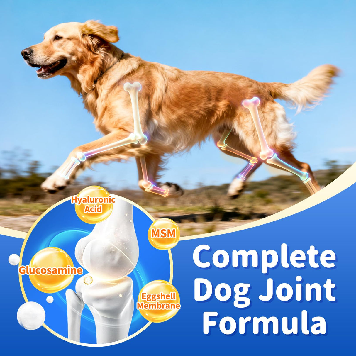POPPAW Senior Dog Liver & Joint Supplement – Same, Milk Thistle (Silybin), Glucosamine, MSM for Liver Health Detox, Mobility, Joint Pain Relief, Cognitive & Vitality Support, Chicken Flavor, 90Ct